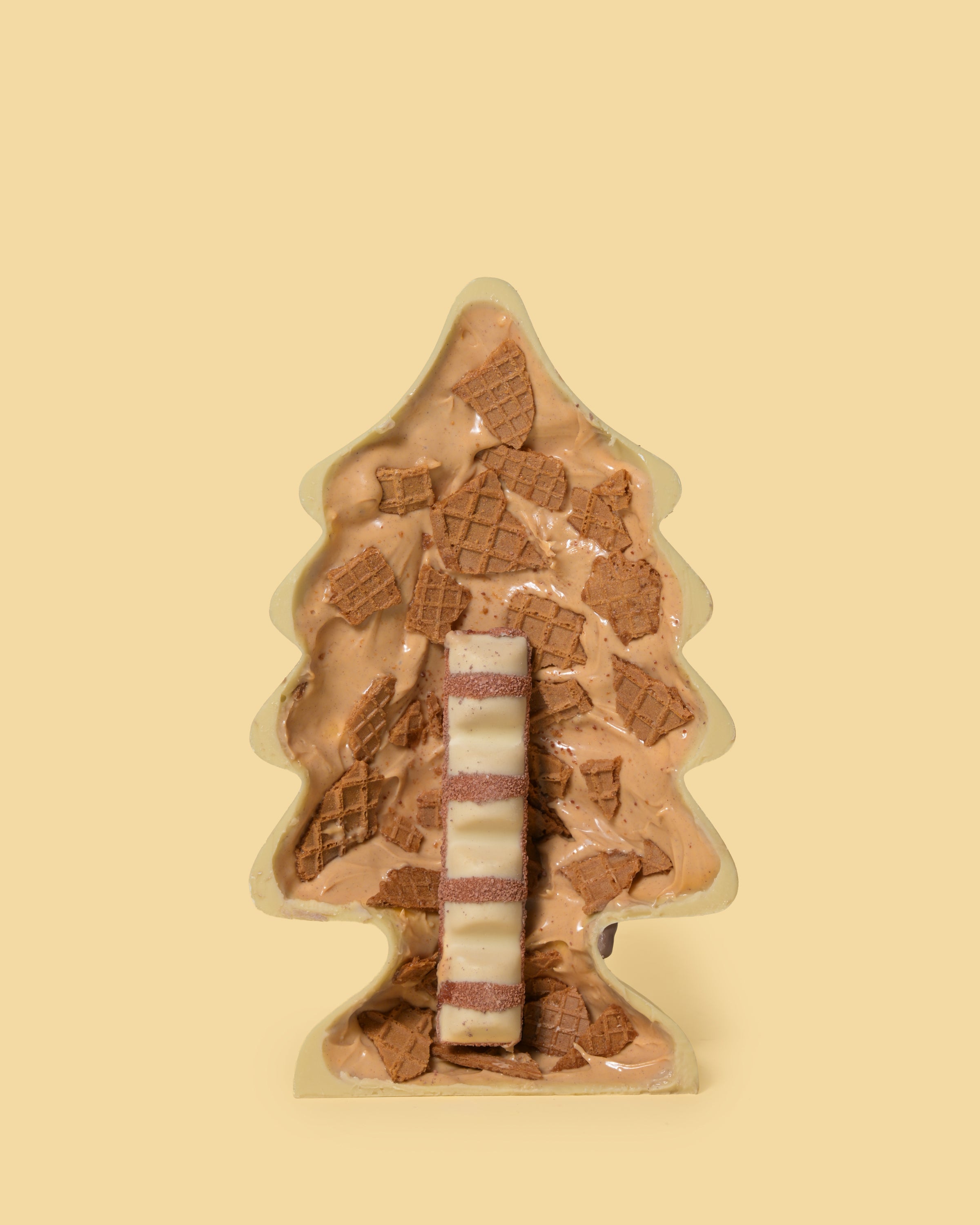 ALBERO CIOCO BUENO WHITE