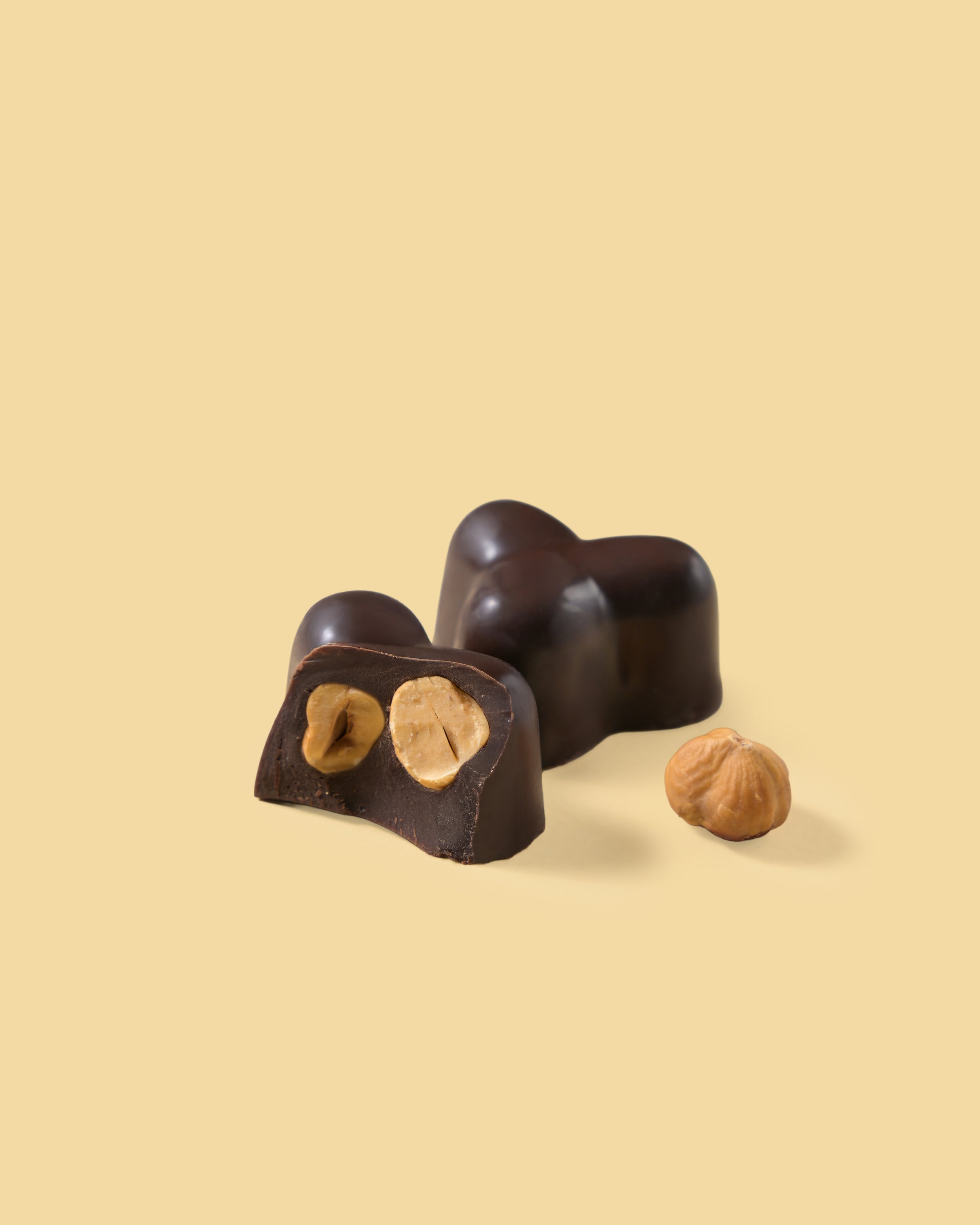 Praline di cioccolato fondente con nocciola